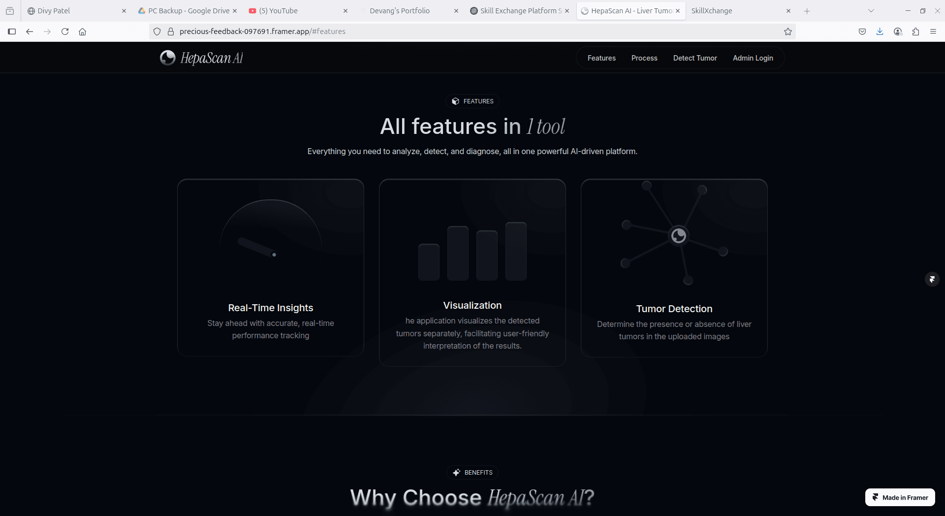 HepaScan AI screenshot 2